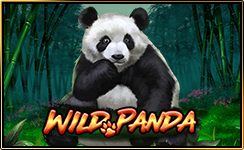 ແພນດ້າປ່າໄຜ່