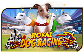 ສະໂບບາຄາລ່າ